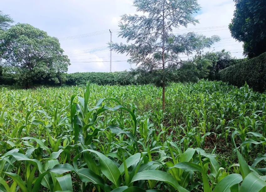 Introduction To Keyda Ventures Kenya