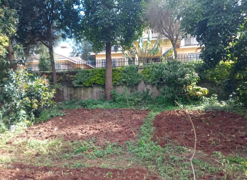 Introduction To Keyda Ventures Kenya